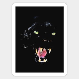 Black Jaguar Face Portrait Sticker